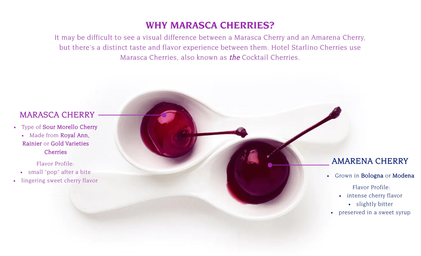 Hotel Starlino Maraschino Italy Cherries 400ml